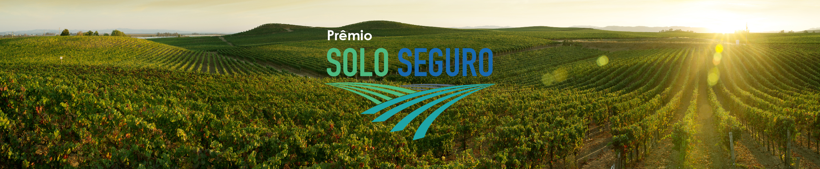 card com os dizeres "Prêmio Solo Seguro" com imagem de uma plantação ao fundo