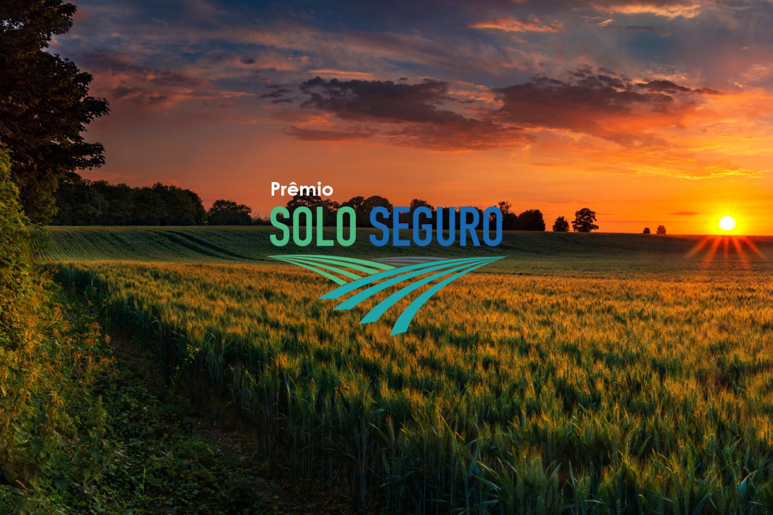Card com os dizeres " Prêmio Solo Seguro " com uma imagem de uma plantação ao fundo