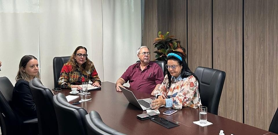 Desa. Ângela Prudente falando para participantes de reunião sentada ao centro da mesa