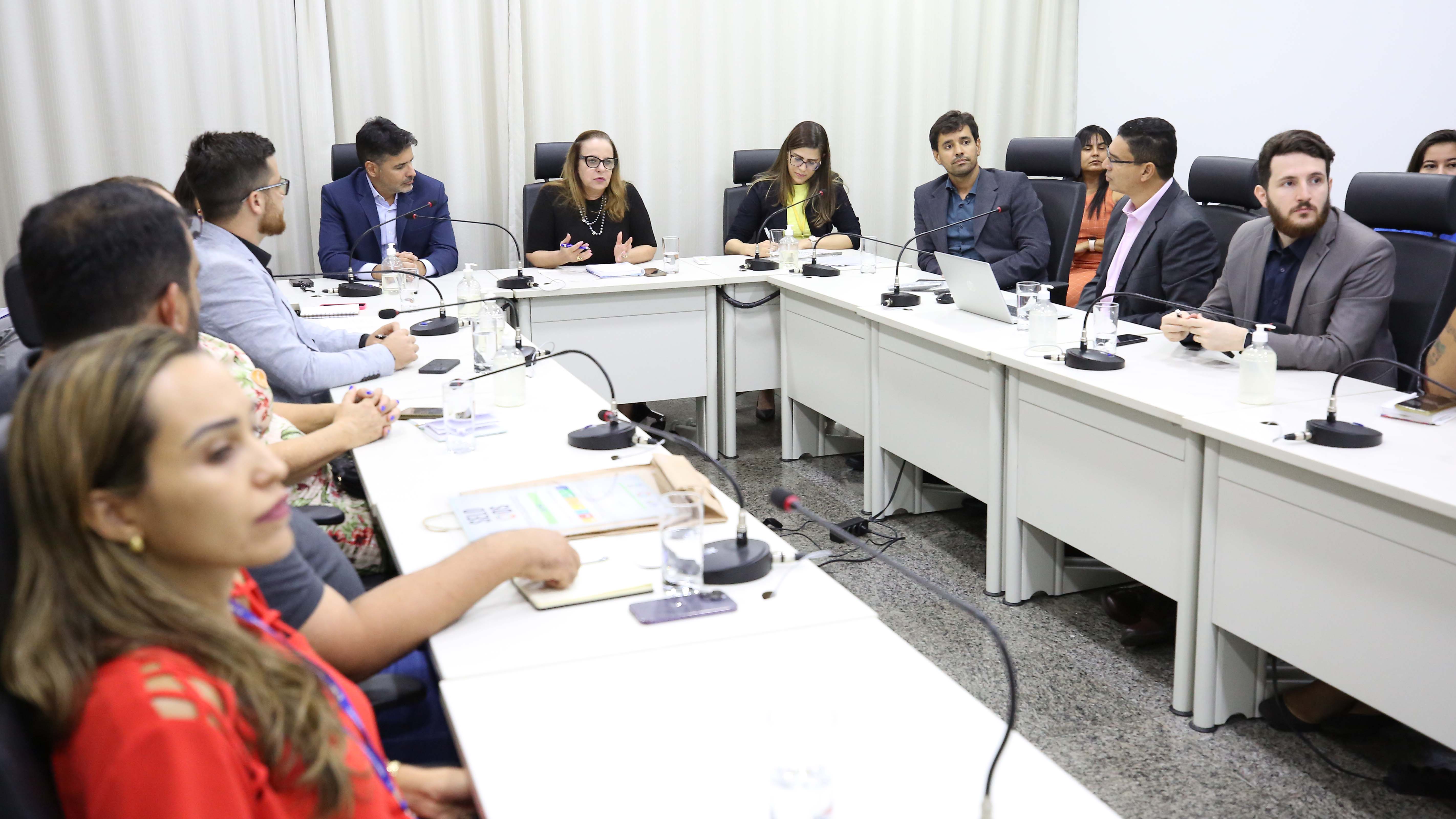 Imagem aberta da reunião dos membros da Rede TO Sustentável; integrantes estão sentados em mesas brancas