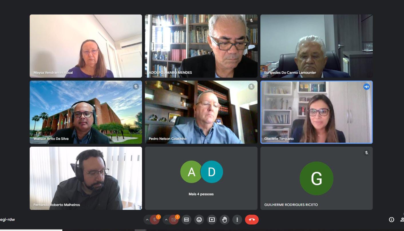 Print de tela de computador de reunião em que mostra quadros com homens e mulheres em reunião virtual
