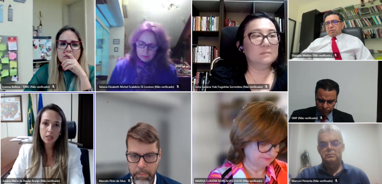 Print de tela de reunião on-line que mostra vários rostos de pessoas