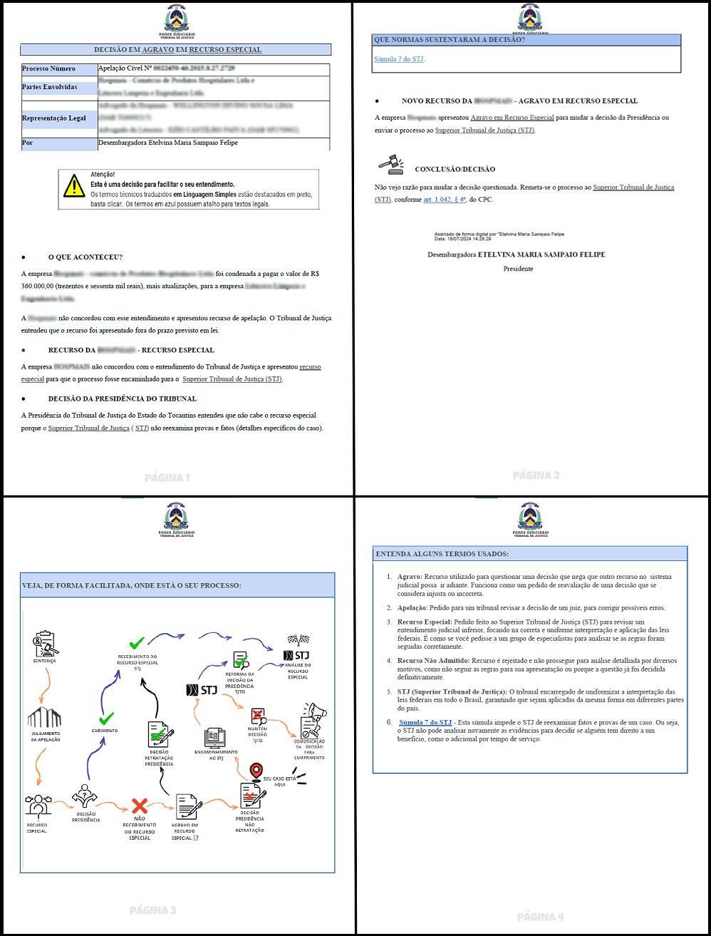 Imagem mostra um documento publicado em linguagem simples