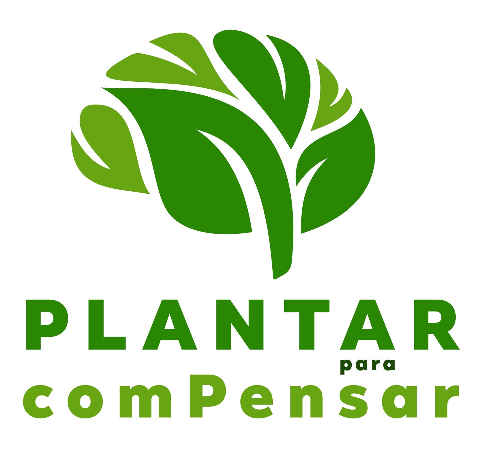 Banner ilustrativo com a imagem de uma árvore e o texto em verde: Plantar para compensar