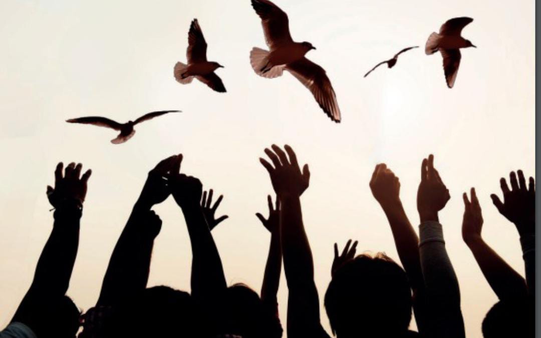 Fotografia colorida onde pessoas estão de braços para cima em direção a aves que estão voando 