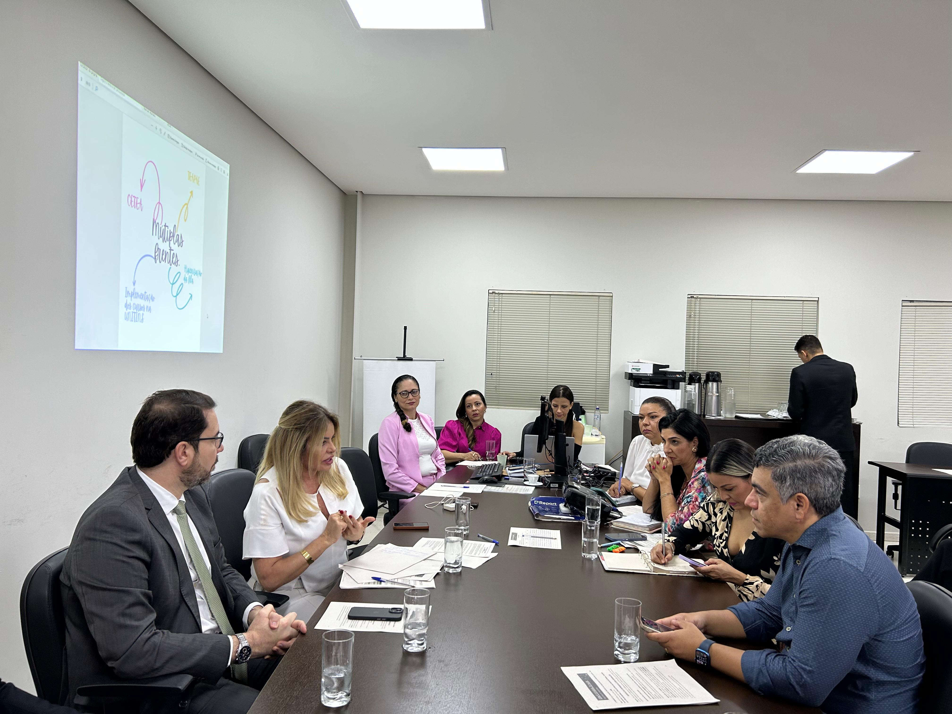 Magistrados e representantes de instituições que integram a Comissão temática do TEA reunidos numa mesa conversando.  