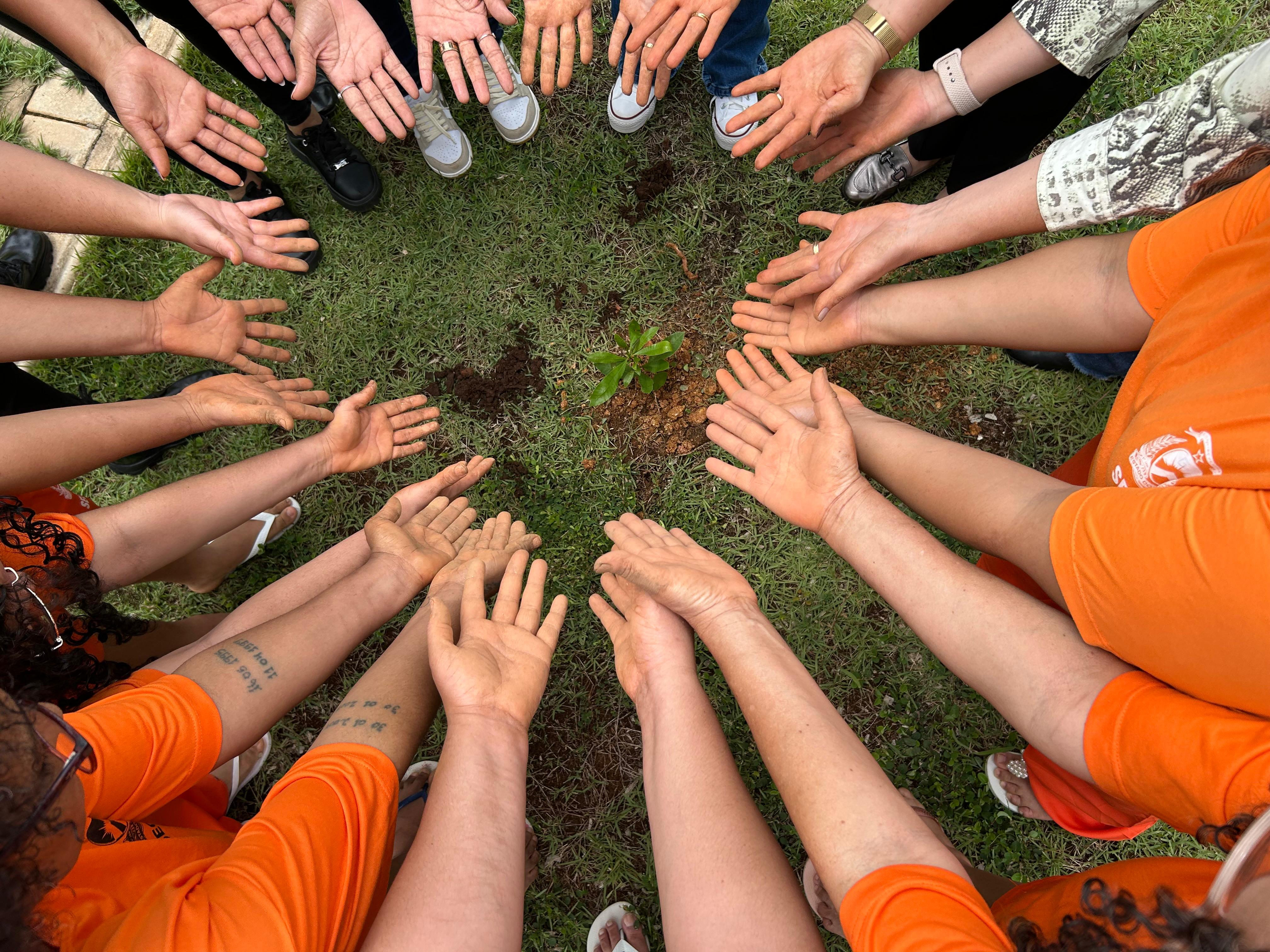 Imagem colorida onde pessoas estão em círculo e mostram as mãos que plantaram árvores