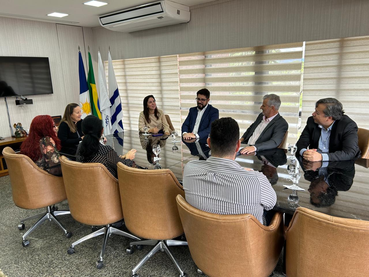 Na imagem, sete pessoas estão sentadas ao redor de uma mesa, composta por quatro homens e três mulheres. O ambiente é uma sala com paredes em tom bege. Ao fundo, da esquerda para direita, estão as bandeiras do Tocantins, Brasil, Mercosul e Palmas.