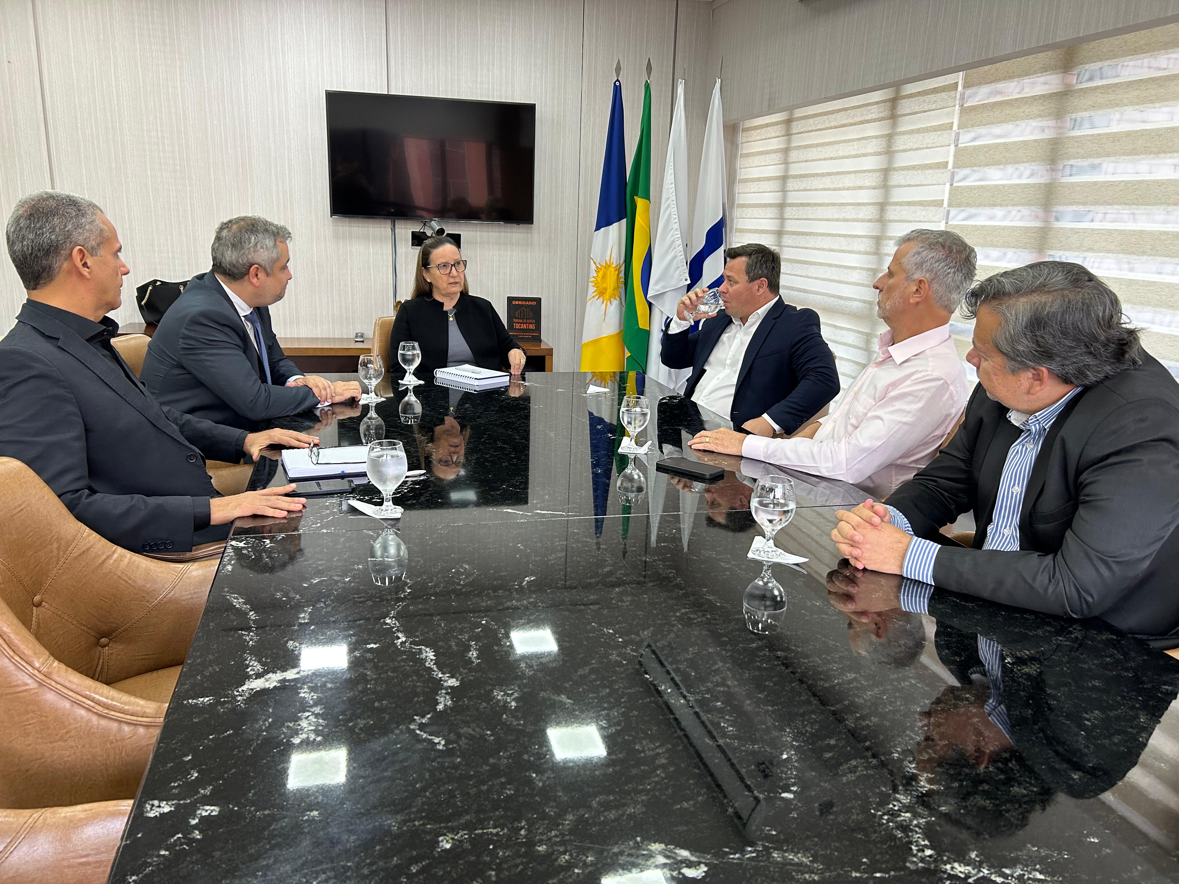 Na imagem, estão presentes seis pessoas, sendo uma mulher e cinco homens, todos representantes do Tribunal de Justiça do Tocantins e da Defensoria Pública Geral. Eles estão sentados ao redor de uma mesa, com expressão séria e atenta. O ambiente possui paredes de tom bege claro, e ao fundo, são visíveis quatro bandeiras dispostas de forma ordenada: da esquerda para a direita, a bandeira do Tocantins, Brasil, Mercosul e de Palmas.