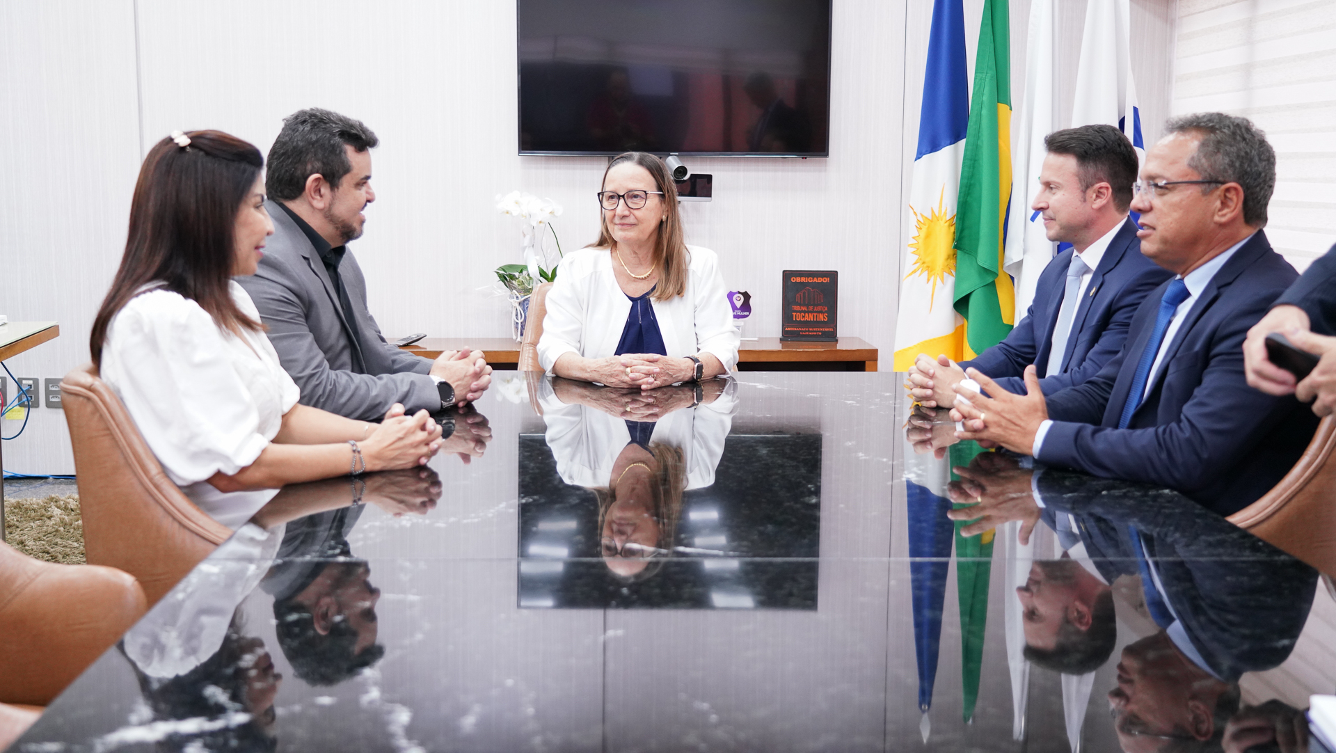 Foto aberta de reunião, com a presidente do TJTO no centro da mesa, ela está de frente e usa casaco branco e blusa azul marinho; à sua direita e esquerda quatro secretários de Estado, sendo três homens e uma mulher; todos estão sentados e conversando 