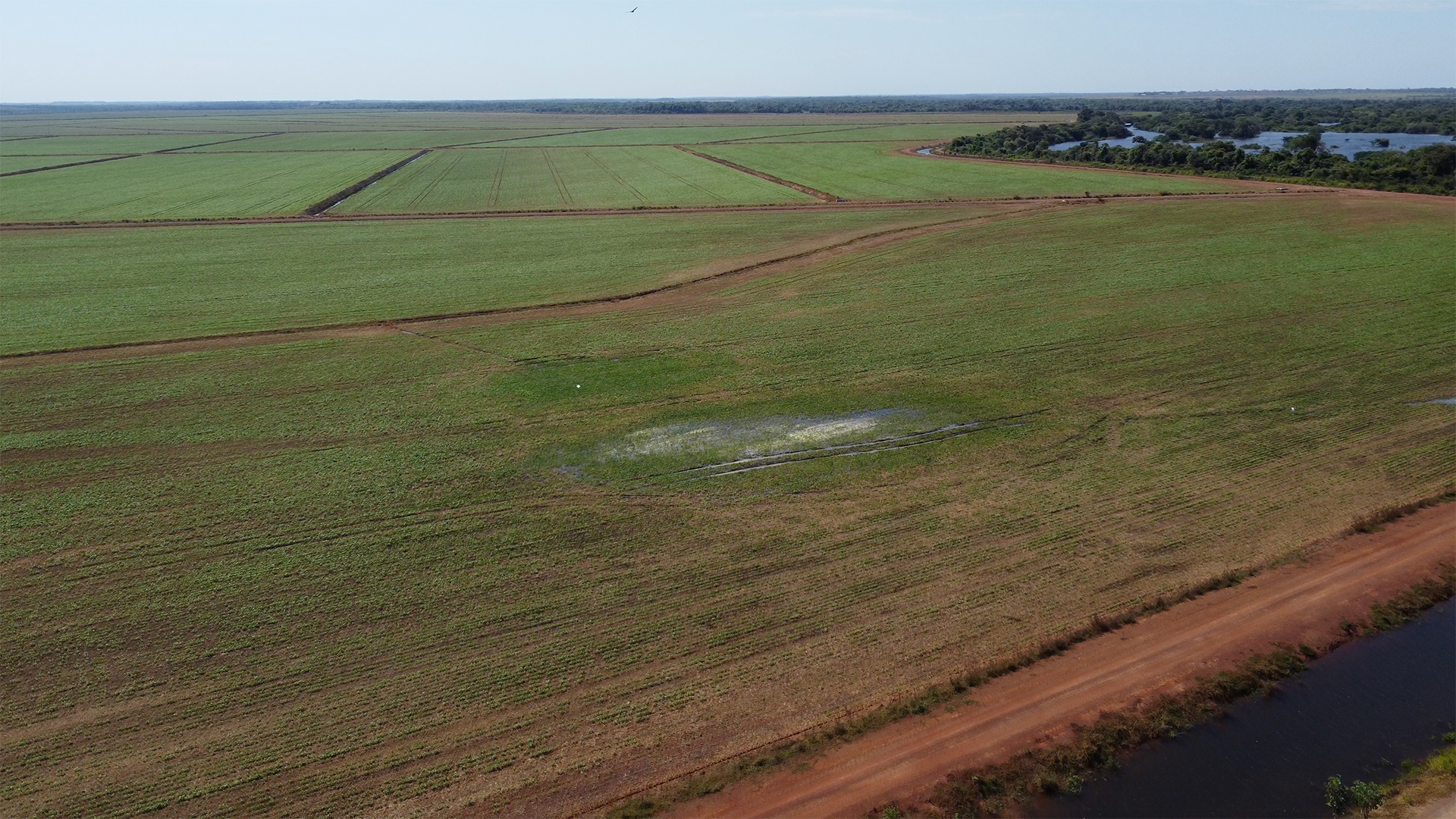 Foto aérea de campos irrigados com plantio na região da Lagoa da Confusão