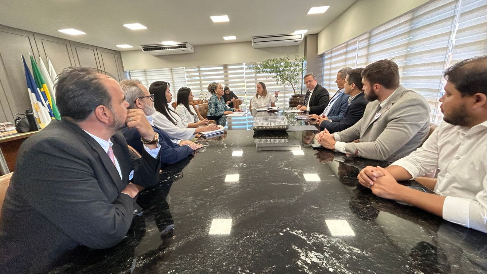 Imagem de uma grande mesa e várias pessoas sentadas em reunião; ao fundo a presidente do TJTO.
