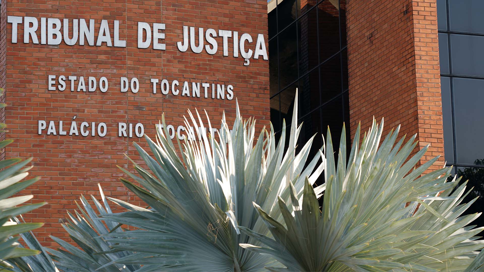 Detalhe da fachada do Tribunal de Justiça do Estado do Tocantins, com parede de tijolos aparentes e a identificação institucional em letras metálicas: “TRIBUNAL DE JUSTIÇA – ESTADO DO TOCANTINS – PALÁCIO RIO TOCANTINS”. Em primeiro plano, há plantas ornamentais de folhas largas e pontiagudas, parcialmente cobrindo a base do prédio. À direita, aparece parte da estrutura moderna com vidro escuro.