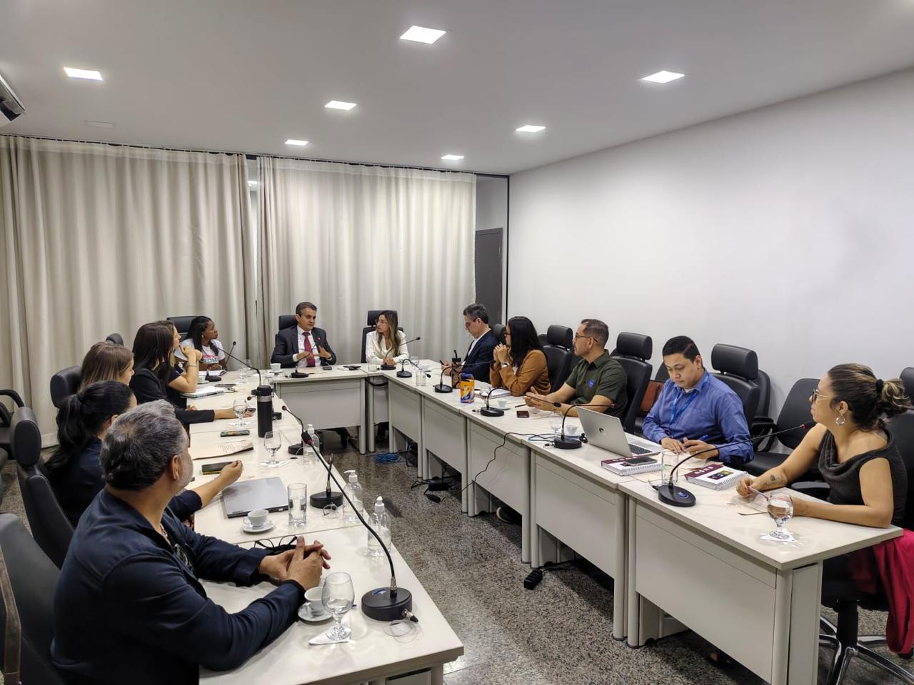 A foto mostra integrantes do Grupo de Trabalho de Saúde Mental do Socioeducativo reunidos em torno de uma mesa, durante a 2ª Reunião Ordinária do colegiado, no Tribunal de Justiça do Tocantins (TJTO). Ao centro, o juiz Allan Martins Ferreira conduz as discussões, acompanhado por representantes das instituições que compõem o GT.