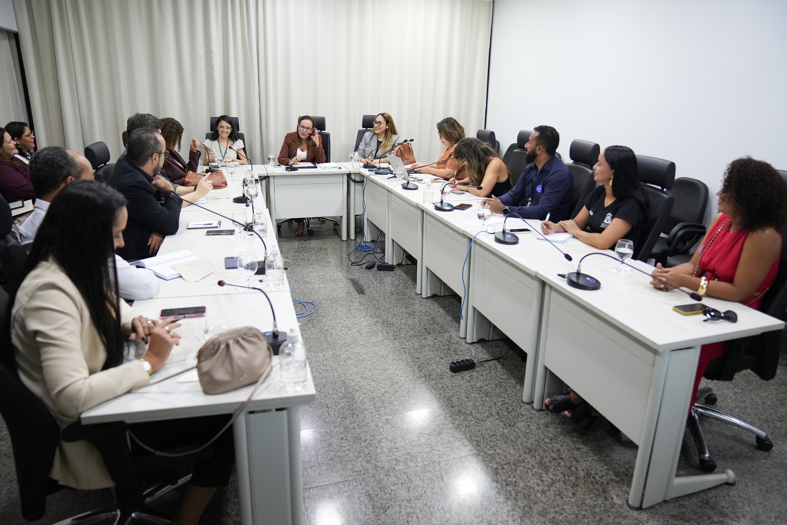 Representantes de diferentes instituições participam da reunião do Comitê Regional PopRuaJud/TO, em uma sala do Tribunal de Justiça do Tocantins. Os participantes estão sentados ao redor de mesas dispostas em formato de “U”, com microfones, documentos, celulares, computadores e copos com água. Ao centro, a desembargadora Ângela Prudente conduz o encontro.