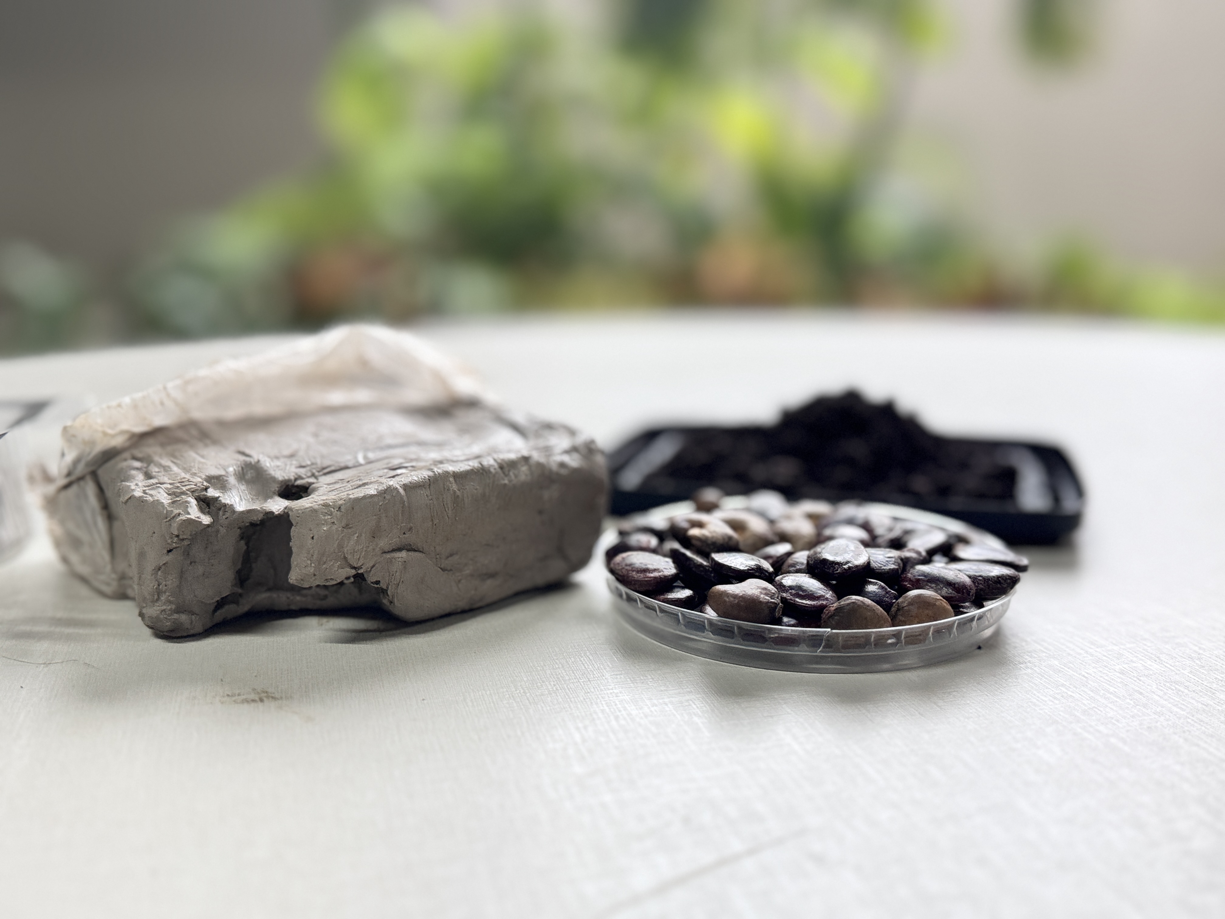 A imagem mostra os materiais utilizados na confecção das bombinhas de sementes, dispostos sobre uma mesa branca. Em primeiro plano, aparecem um bloco de argila, um recipiente com sementes e, ao fundo, um pequeno volume de substrato orgânico, com a vegetação desfocada ao redor.