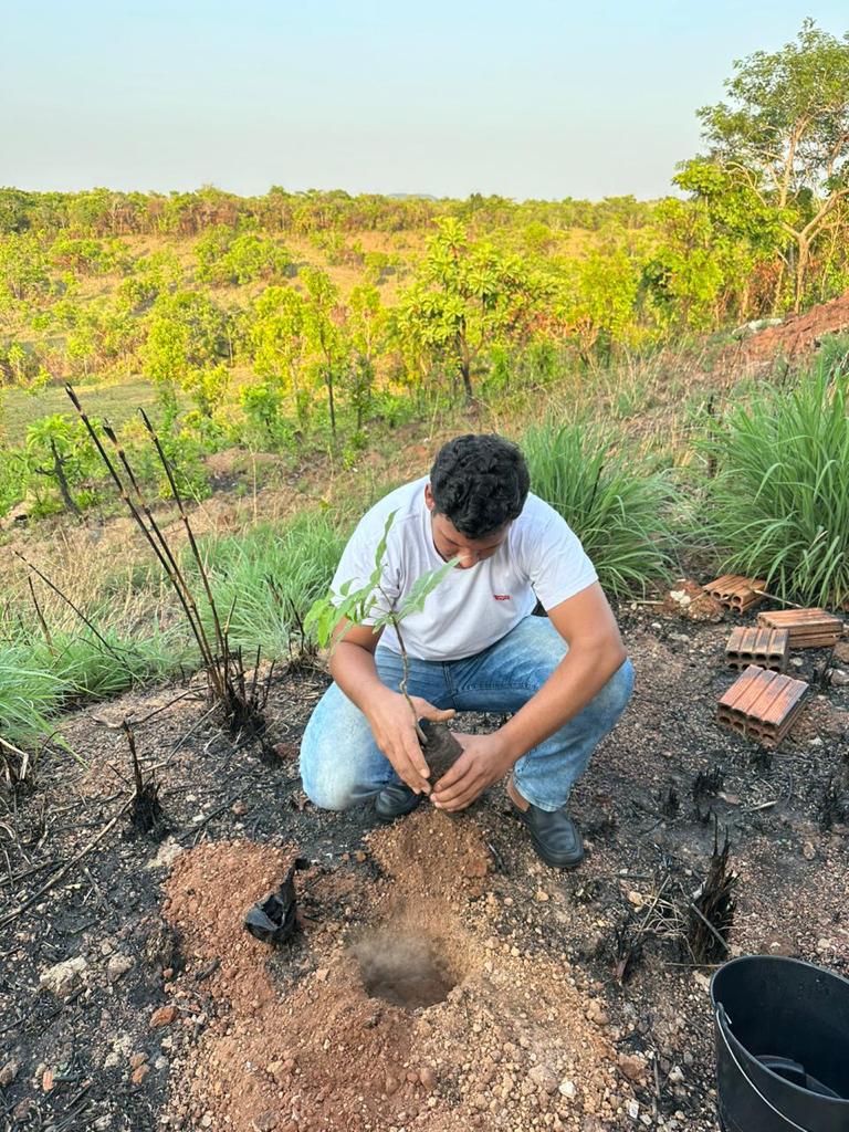 Servidor fazendo o plantio de mudas de árvores na comarca de Araguacema