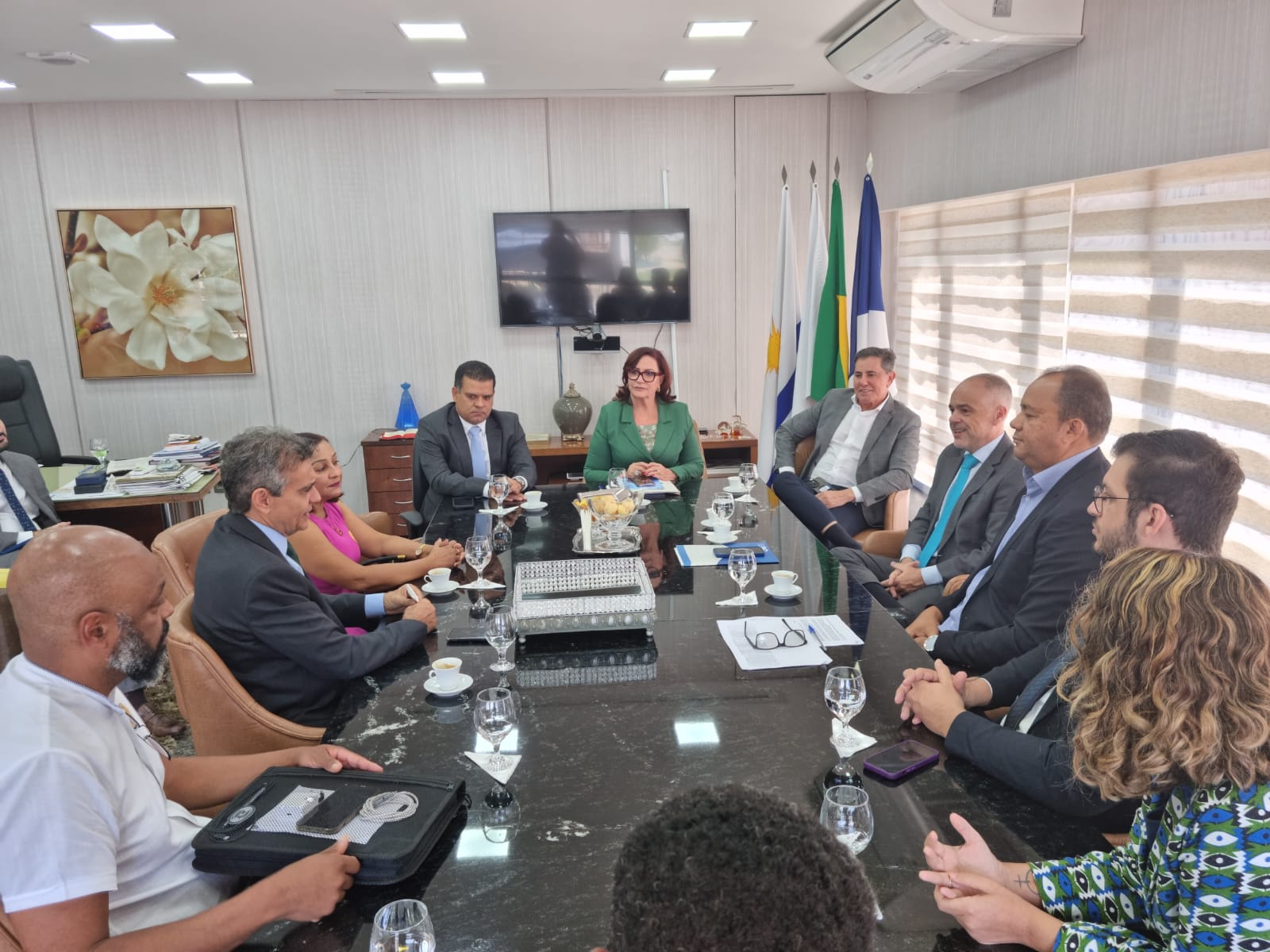 Sala de reuniões com a presidente do TJTO, desembargadora Etelvina na ponta da mesa, de terno verde, ao lado de membros do CNJ, juízes do tocantins e representantes de instituições parceiras, todos sentados