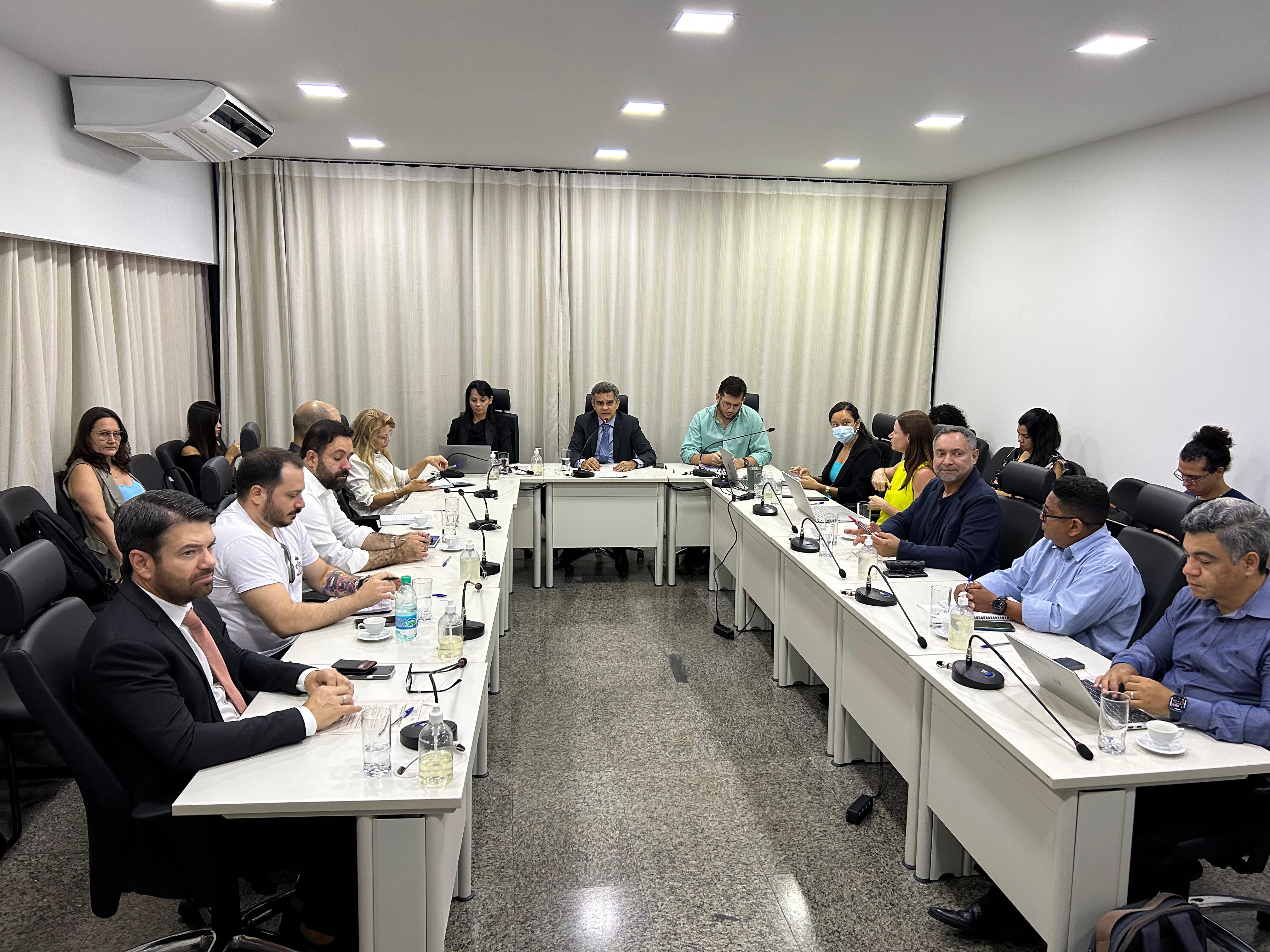 Imagem de uma sala de reunião onde membros do Comitê Estadual Interinstitucional de Monitoramento da Política Antimanicomial do Tocantins estão reunidos