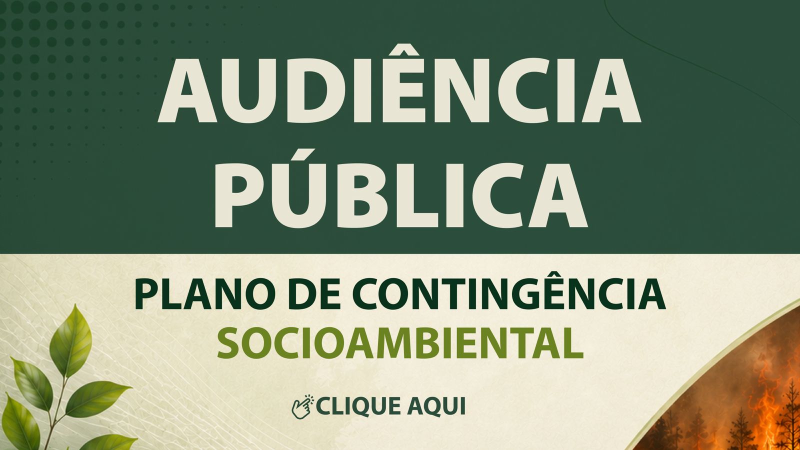 Audiencia Publica