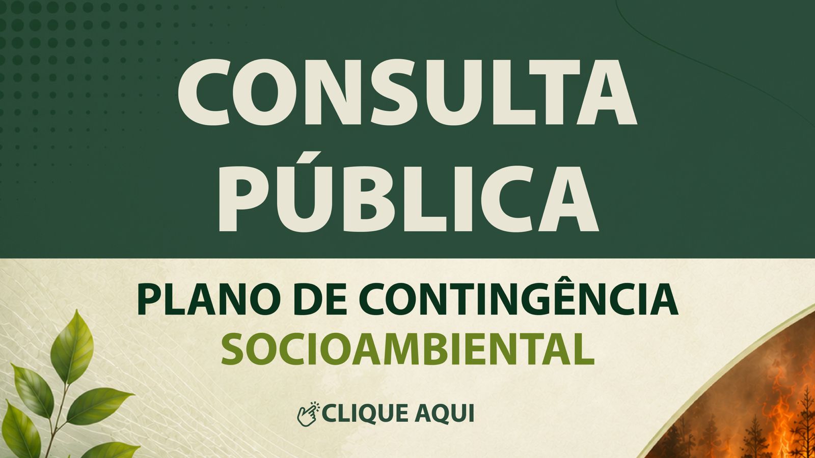 Consulta Publica