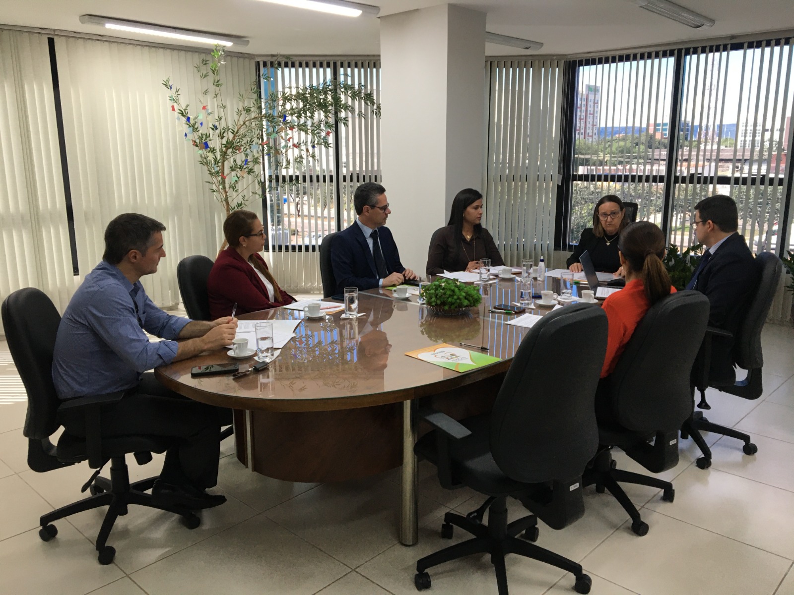 Comissão Estadual Judiciária do Tocantins reunida para primeira habilitação para adoção internacional