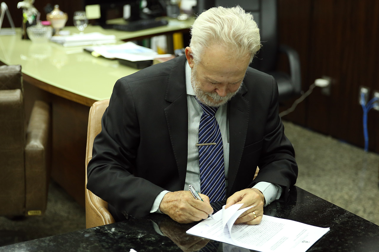 assina regulariza palmas 00004