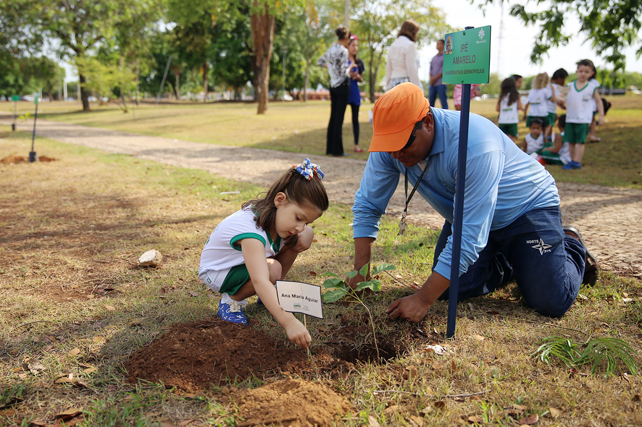 plantio arv cei 00004