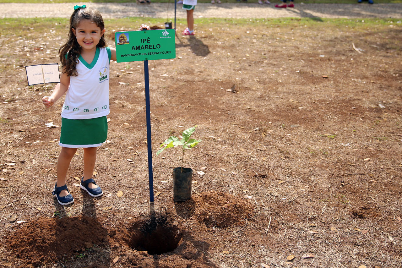 plantio arv cei 00006