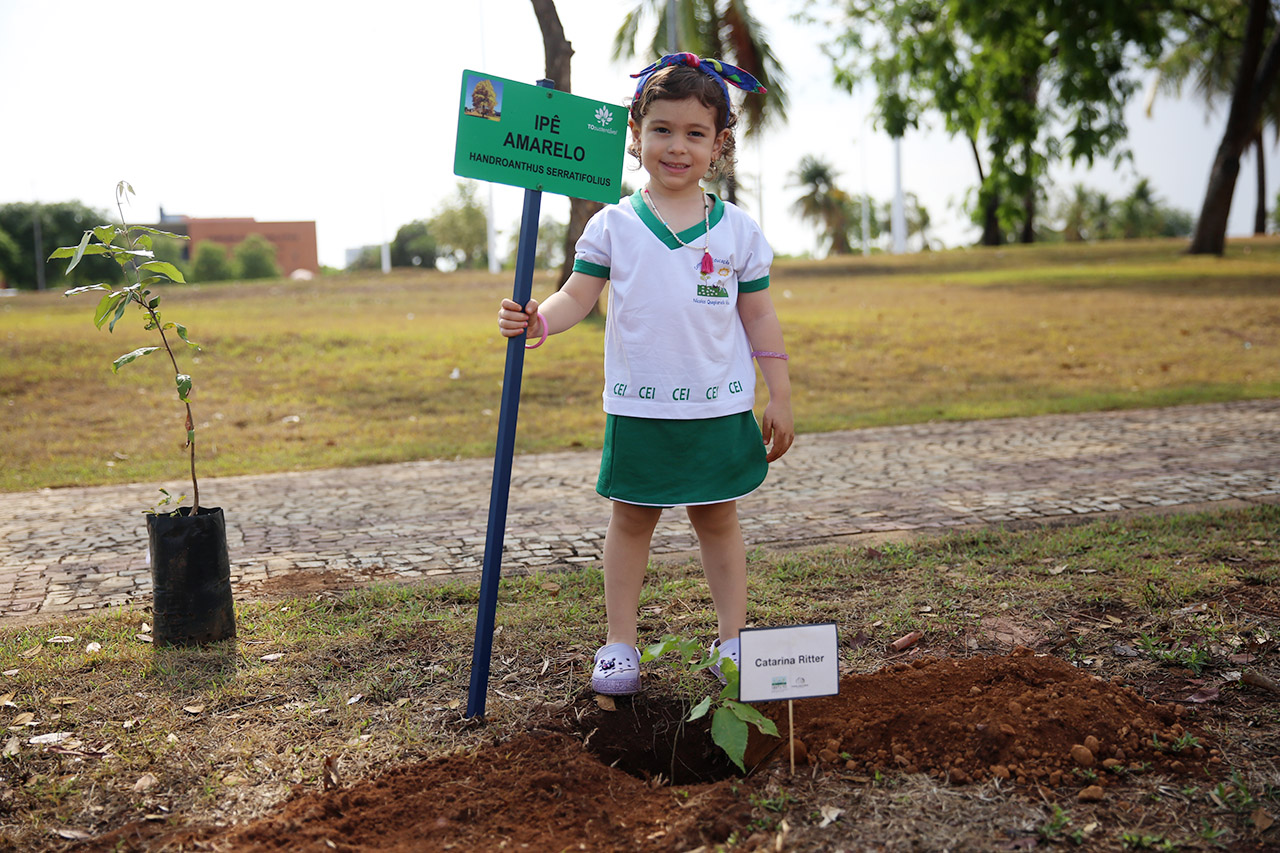 plantio arv cei 00011