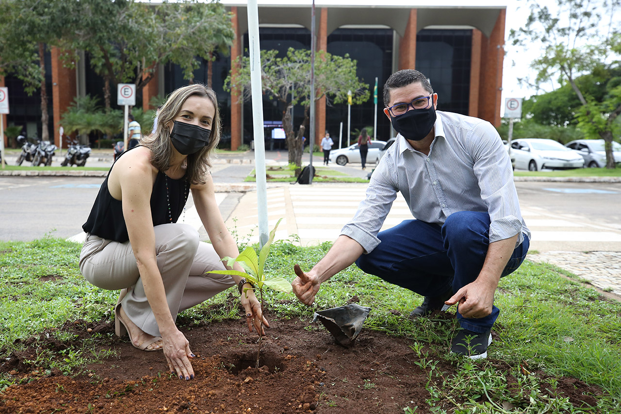 eliasoliveira TOsustentavel 2021 12 16 8738