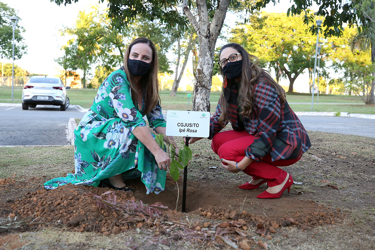 eliasoliveira TOsustentável 2021 06 07 0827